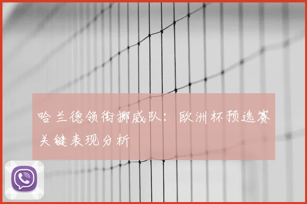 哈兰德领衔挪威队：欧洲杯预选赛关键表现分析