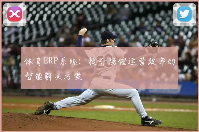体育ERP系统：提升场馆运营效率的智能解决方案