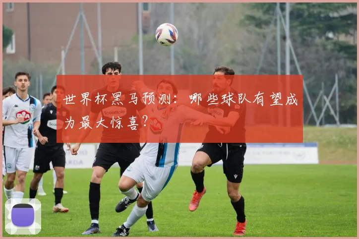 世界杯黑马预测:哪些球队有望成为最大惊喜?